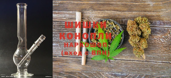 крисы Осташков