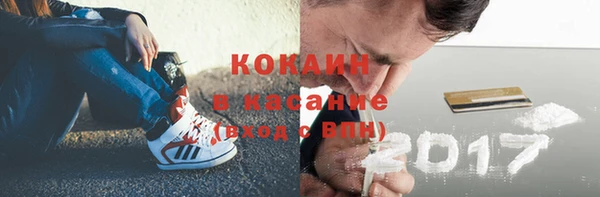 прущие грибы Пенза