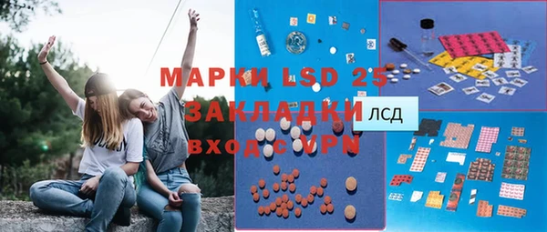 крисы Осташков