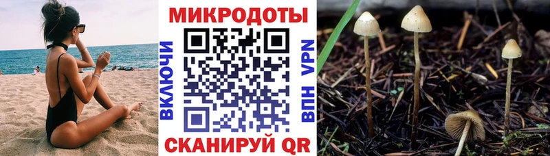 Галлюциногенные грибы Cubensis  продажа наркотиков  Кодинск 